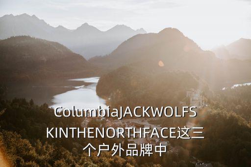 ColumbiaJACKWOLFSKINTHENORTHFACE这三个户外品牌中