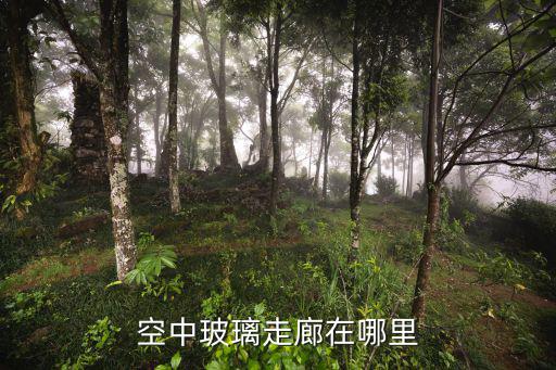 户外拓展训练中空空中走廊，何谓空中走廊