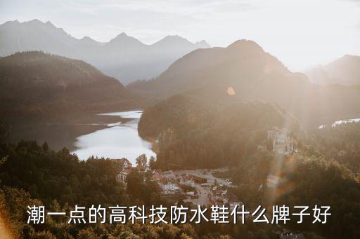 潮一点的高科技防水鞋什么牌子好