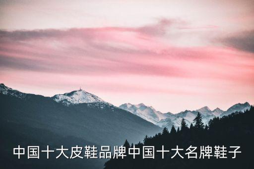中国十大皮鞋品牌中国十大名牌鞋子