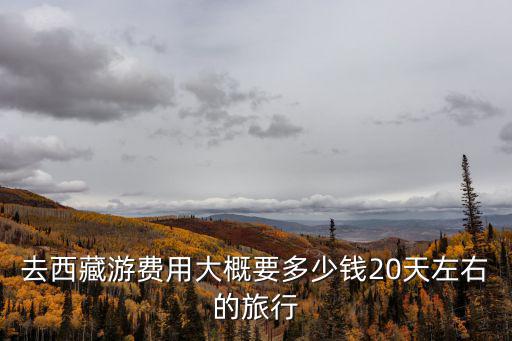 去西藏游费用大概要多少钱20天左右的旅行