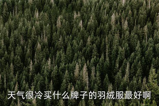 抗极寒羽绒服品牌，天气很冷买什么牌子的羽绒服最好啊