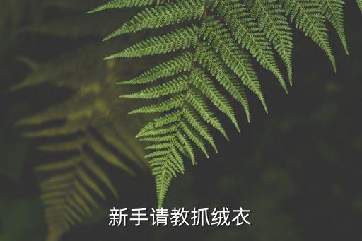 新手请教抓绒衣