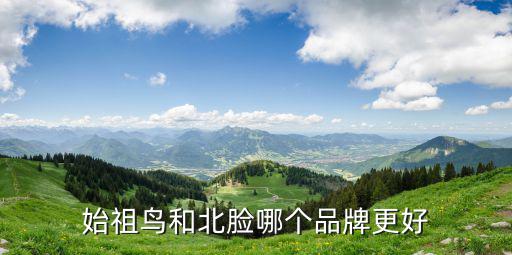 始祖鸟和北脸哪个品牌更好