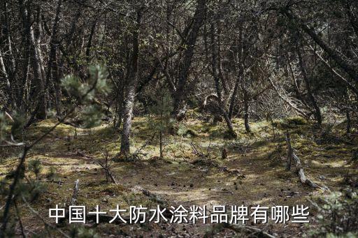 中国十大防水品牌有哪些，中国防水涂料十大品牌有哪些