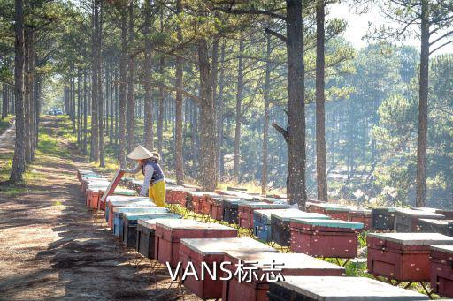VANS标志