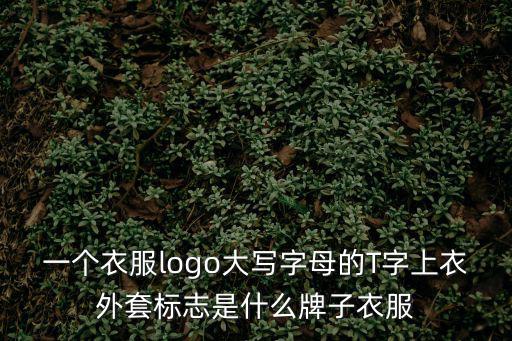 一个衣服logo大写字母的T字上衣外套标志是什么牌子衣服