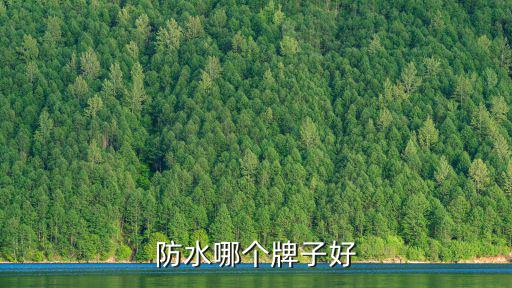 防水哪个牌子好
