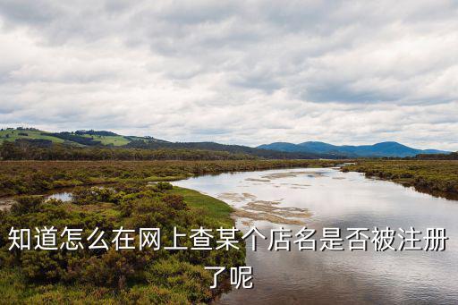 知道怎么在网上查某个店名是否被注册了呢