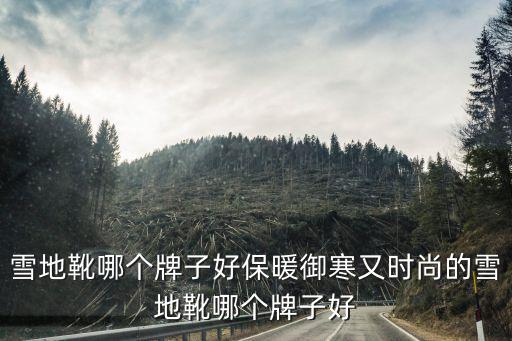 雪地靴哪个牌子好保暖御寒又时尚的雪地靴哪个牌子好