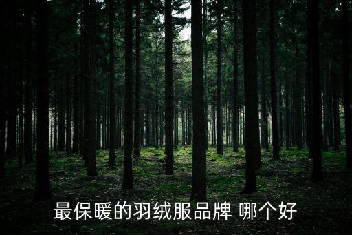 极地防寒羽绒服品牌，最保暖的羽绒服品牌 哪个好