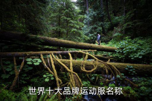 世界品牌运动服排行榜前十名图片，世界运动品牌排名前十的是