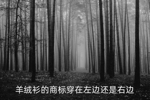 衣服商标在左边还是右边，一般好一点的衣服的洗标在衣服内侧的左边还是右边啊