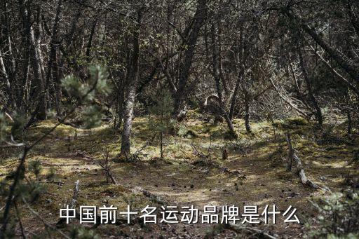 中国前十名运动品牌是什么