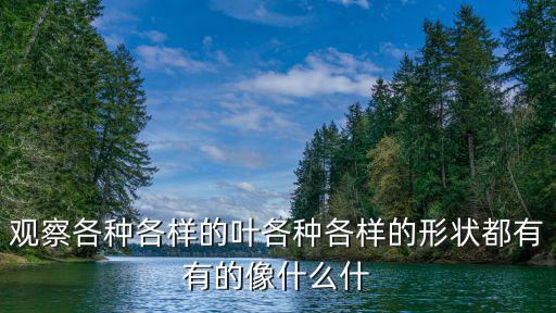 观察各种各样的叶各种各样的形状都有有的像什么什