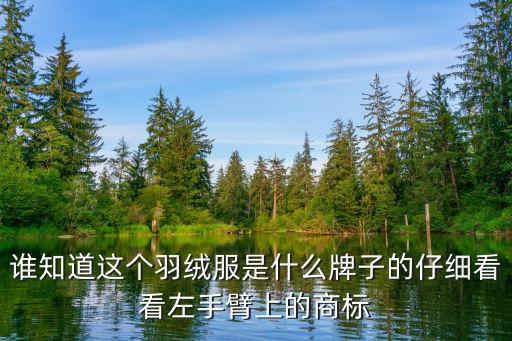 羽绒服商标图案大全大图，谁知道这个羽绒服是什么牌子的仔细看看左手臂上的商标