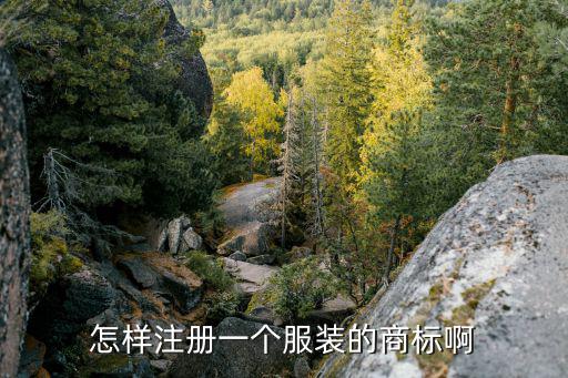 怎样注册一个服装的商标啊