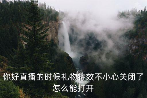 你好直播的时候礼物特效不小心关闭了怎么能打开