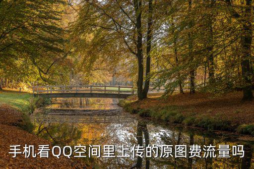 手机看QQ空间里上传的原图费流量吗