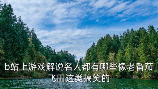b站上游戏解说名人都有哪些像老番茄飞田这类搞笑的
