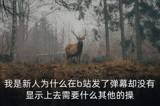 我是新人为什么在b站发了弹幕却没有显示上去需要什么其他的操