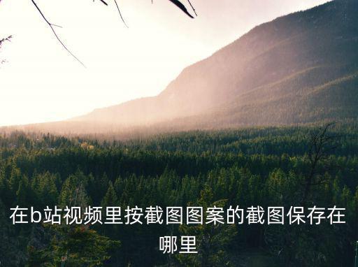 在b站视频里按截图图案的截图保存在哪里