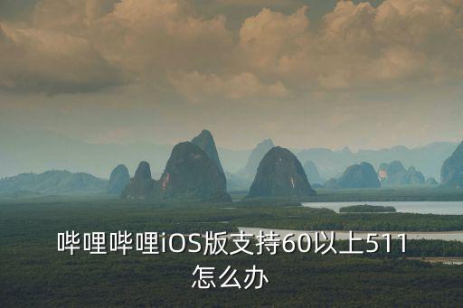 哔哩哔哩iOS版支持60以上511怎么办