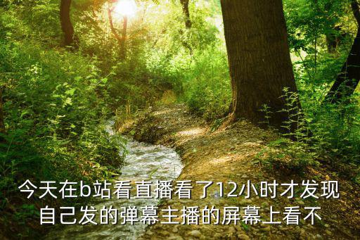 今天在b站看直播看了12小时才发现自己发的弹幕主播的屏幕上看不