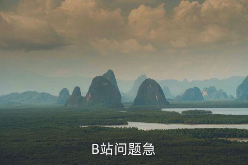 B站问题急