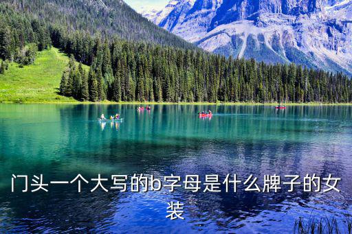 B字母T恤，左胸前带个大写B符号的是什么牌子的衣服