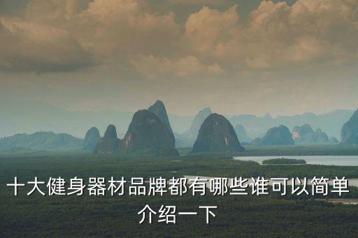 十大健身器材品牌都有哪些谁可以简单介绍一下