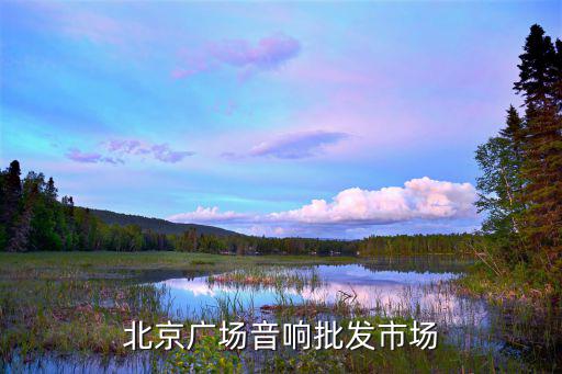 北京广场音响批发市场