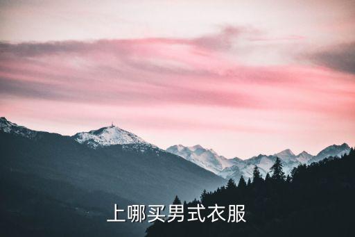 上哪买男式衣服