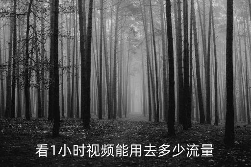 看1小时视频能用去多少流量
