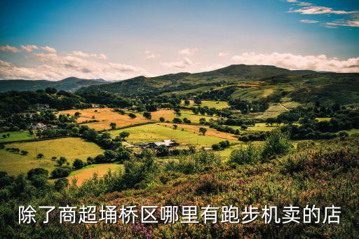 除了商超埇桥区哪里有跑步机卖的店