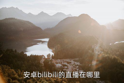 安卓bilibili的直播在哪里