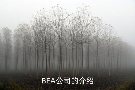 BEA公司的介绍