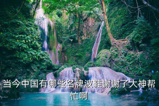 当今中国有哪些名牌波鞋谢谢了大神帮忙啊