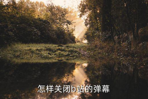 b站送礼物的弹幕怎么关掉，b站怎样关弹幕