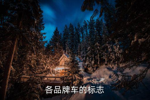 各品牌车的标志