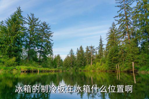 冰箱制冷系统在哪里，冰箱的制冷管在哪里