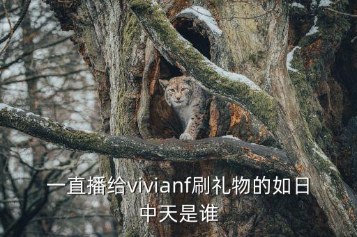 一直播给vivianf刷礼物的如日中天是谁