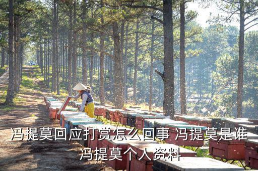 冯提莫回应打赏怎么回事 冯提莫是谁 冯提莫个人资料