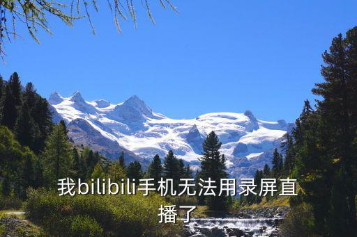 我bilibili手机无法用录屏直播了