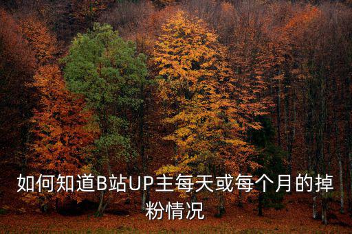 b站怎么看up主排行，b站里面的粉丝榜怎么进入