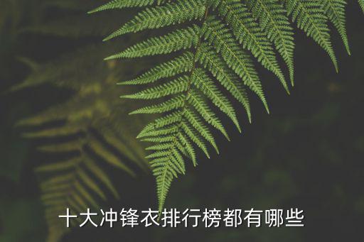 十大冲锋衣排行榜都有哪些