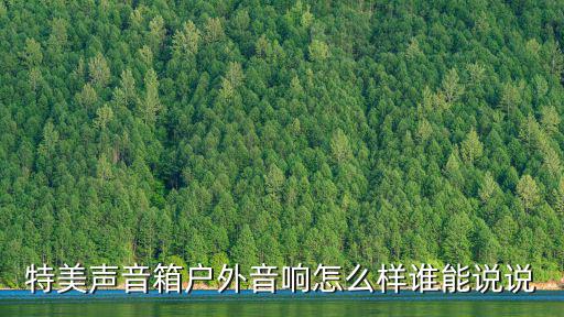特美声广场舞户外音响，特美声DP2320 15寸大功率舞台音响自带功放双无线话筒演出音箱 贵