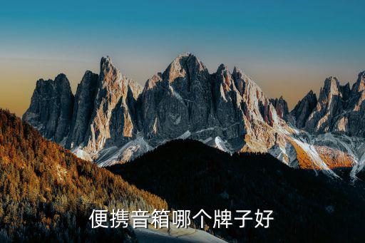 广场便携音响什么品牌最好听，便携音箱哪个牌子好