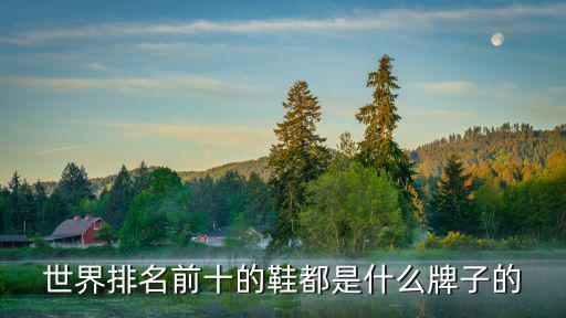 国际品牌运动鞋排行榜前十名图片，世界前十名的运动鞋有那些