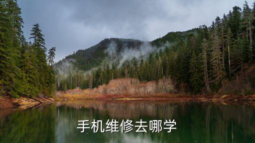 手机维修去哪学